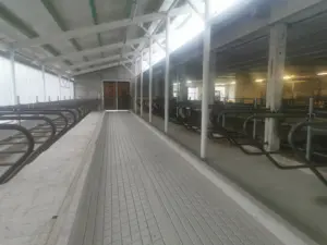 Realizace zábran a vybavení stájí včetně vrat s vnitřní zábranou