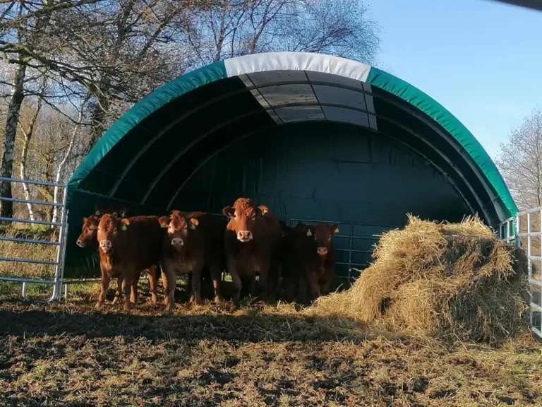 Přístřešek 6x6 m jako součást zimoviště pro skot