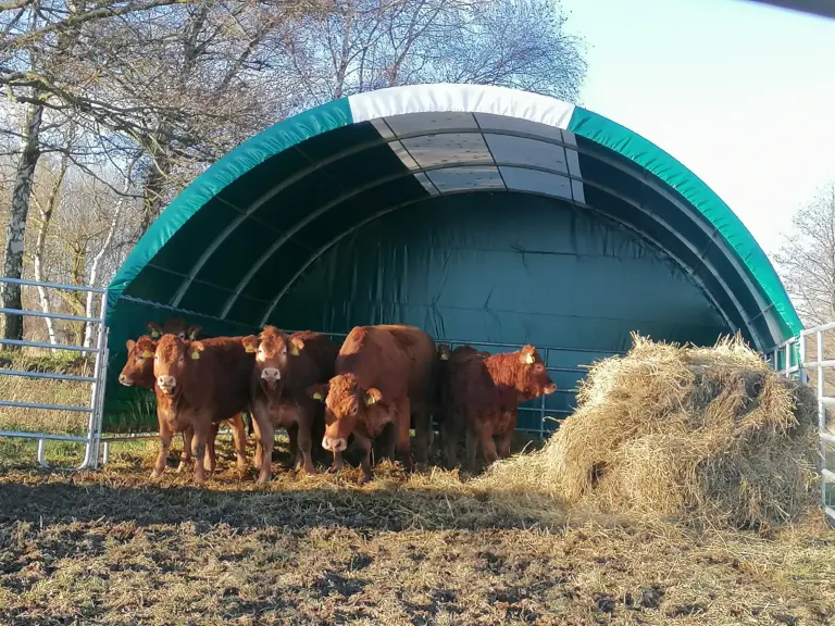 Mobilní přístřešek pro chov skotu o rozměru 6x6
