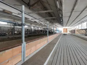 Rekonstrukce stájí pro skot kottech